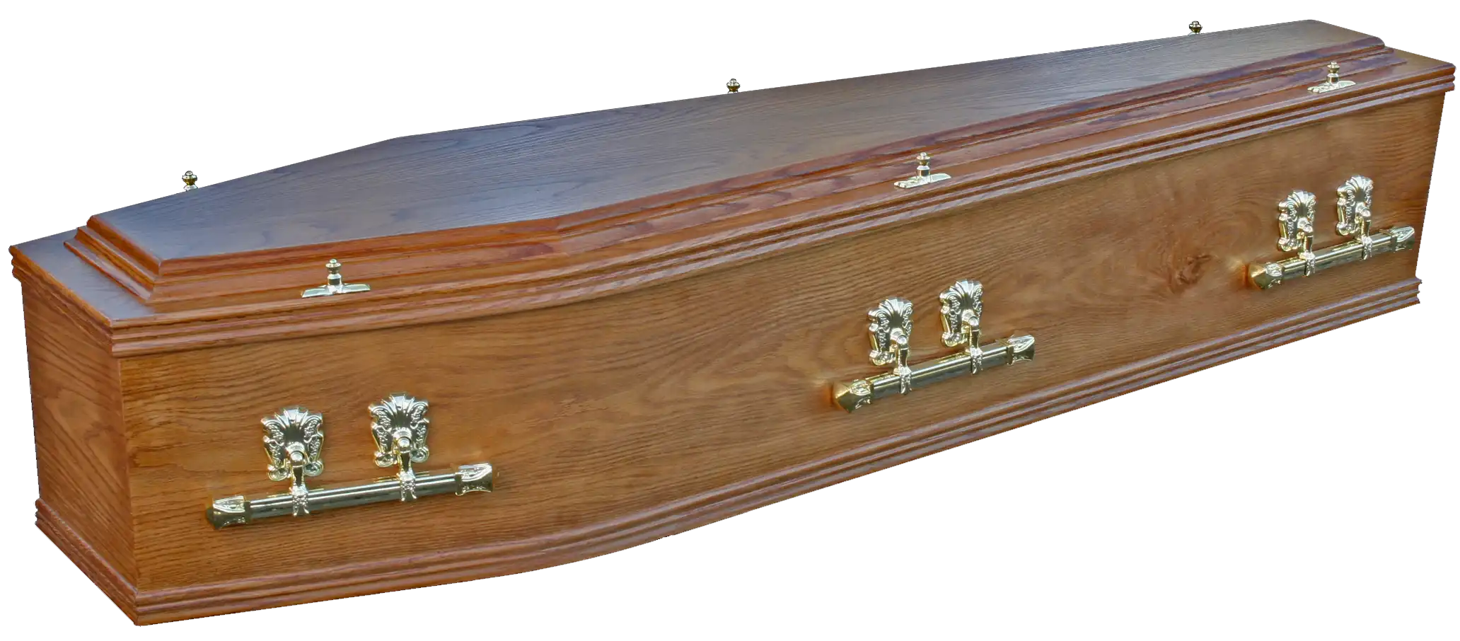 coffin image