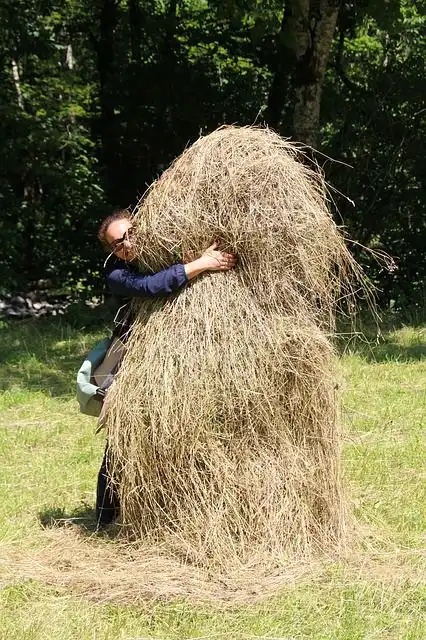 hay-pile-of image