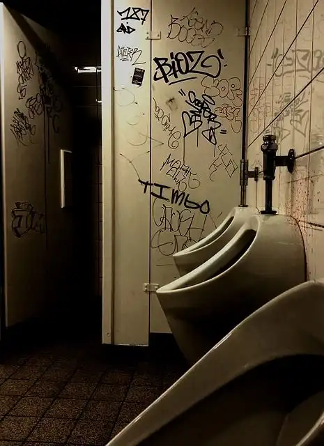 toilet image